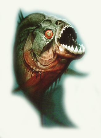 Curiosidades sobre as piranhas